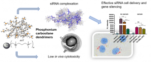 Carbosilane dendrimers as non-viral carriers of therapeutic nucleic acid regions